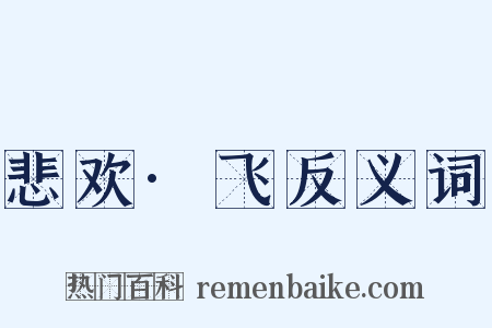 悲欢·飞反义词是什么意思的图片